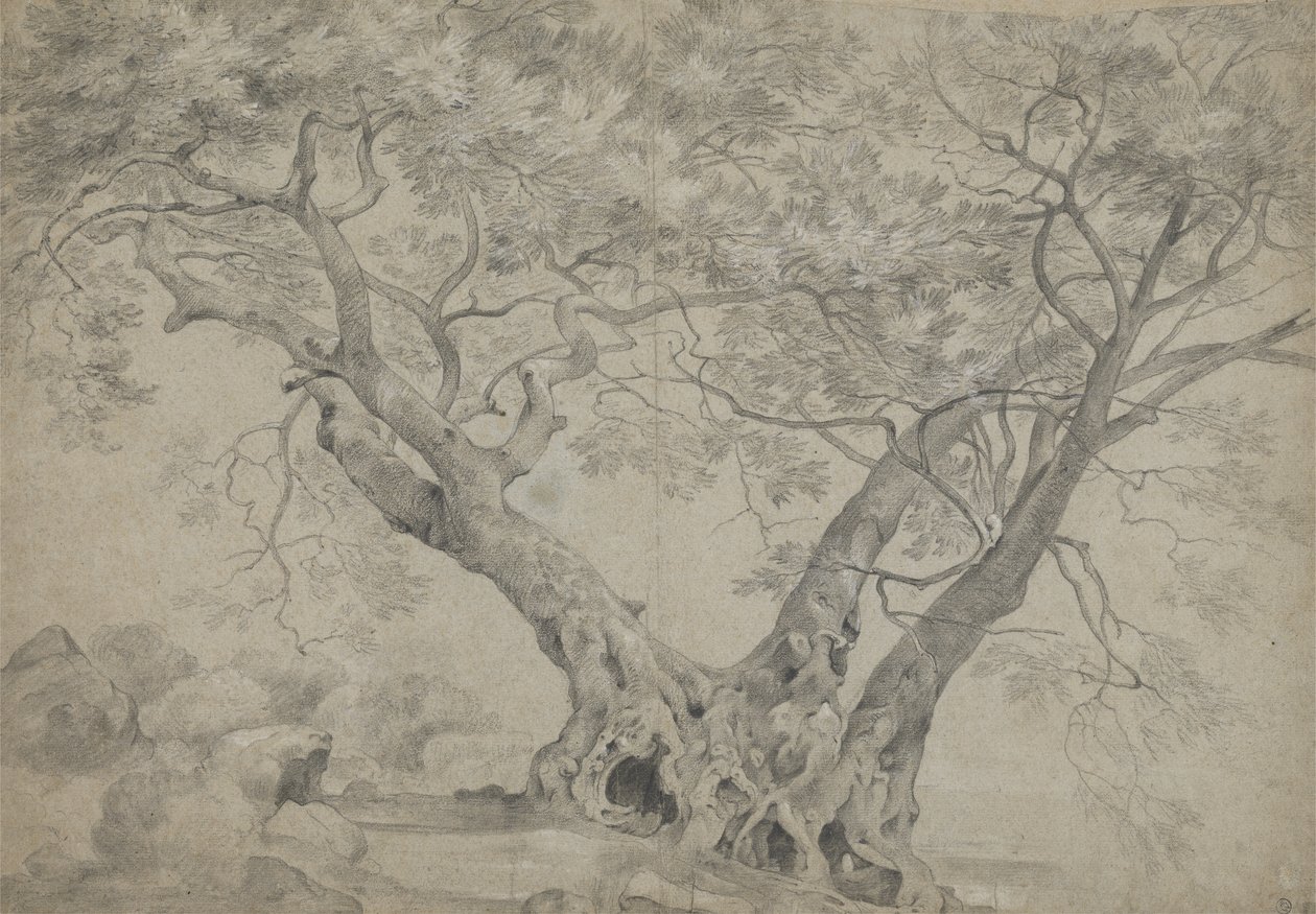 Az Arbra Sacra a Nemi-tó partján, 1754-56 körül (fekete-fehér kréta papíron) alkotó: Richard Wilson