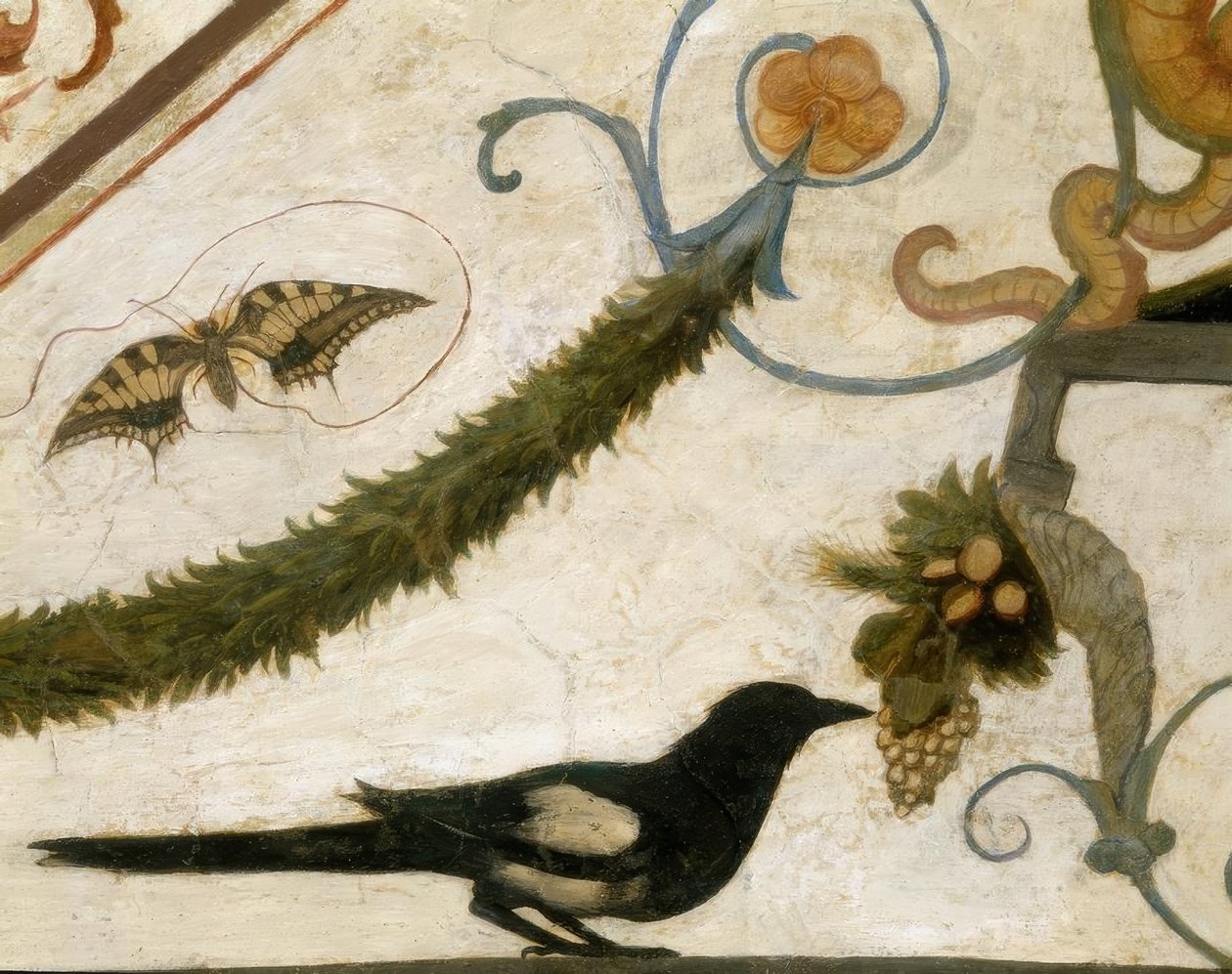R. Ghirlandaio, Groteske, Vogel alkotó: Ridolfo Ghirlandaio