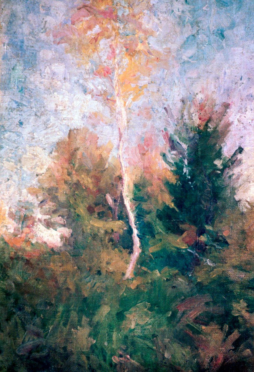 „A nyír”, 1889-1943 alkotó: Rihard Jakopic