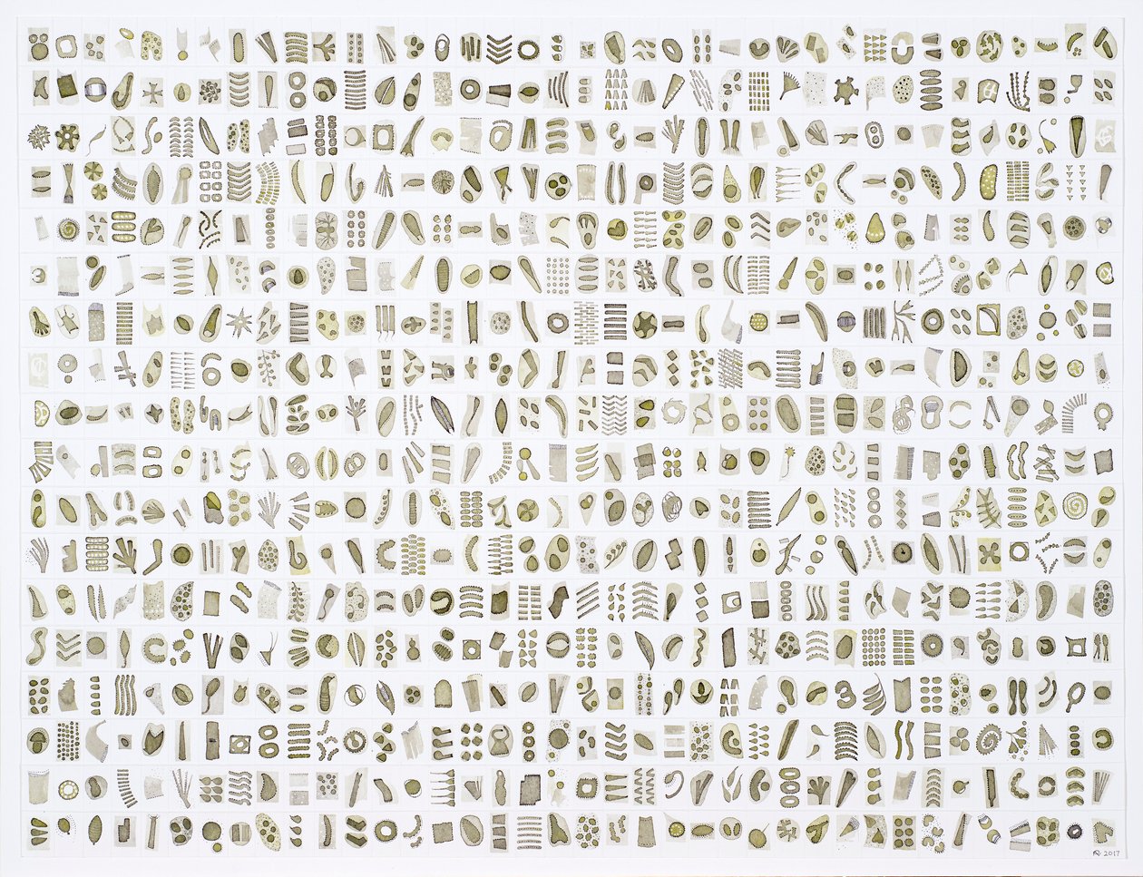 Micrarium No.10 , 2017 (tinta, papír) alkotó: Rika Newcombe