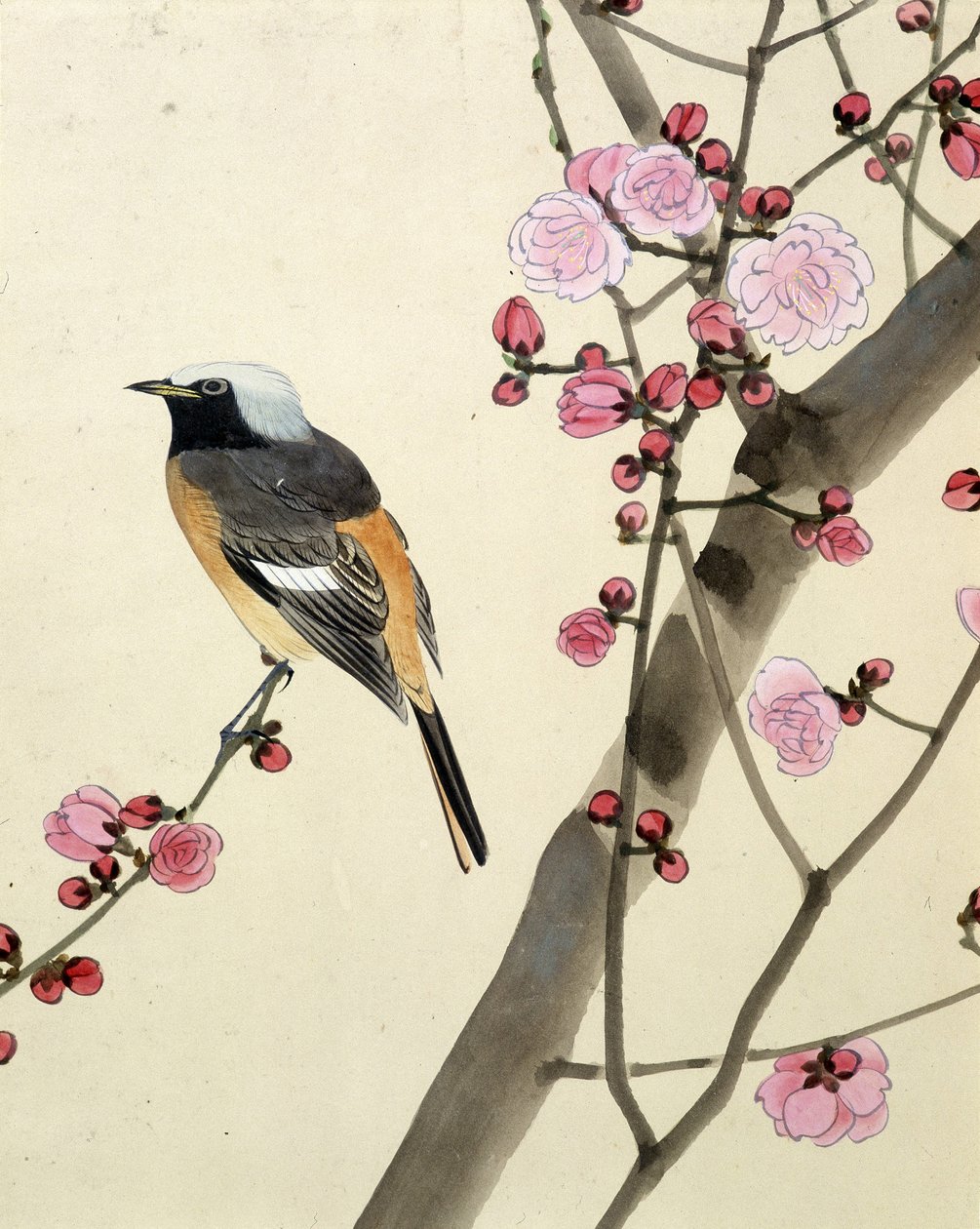 Madár – Riou Chim japán rajza, 19. század vége alkotó: Riu Chim