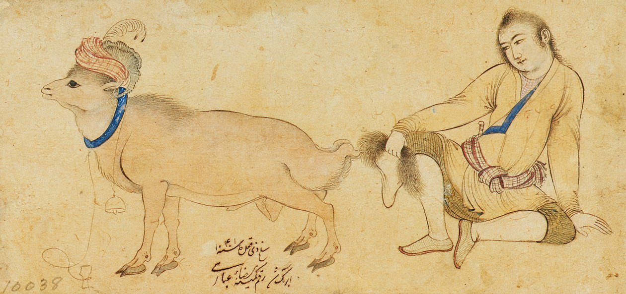 Tanulmány egy fiatalemberről és egy kosról, 1630-31 vagy később alkotó: Riza i Abbasi