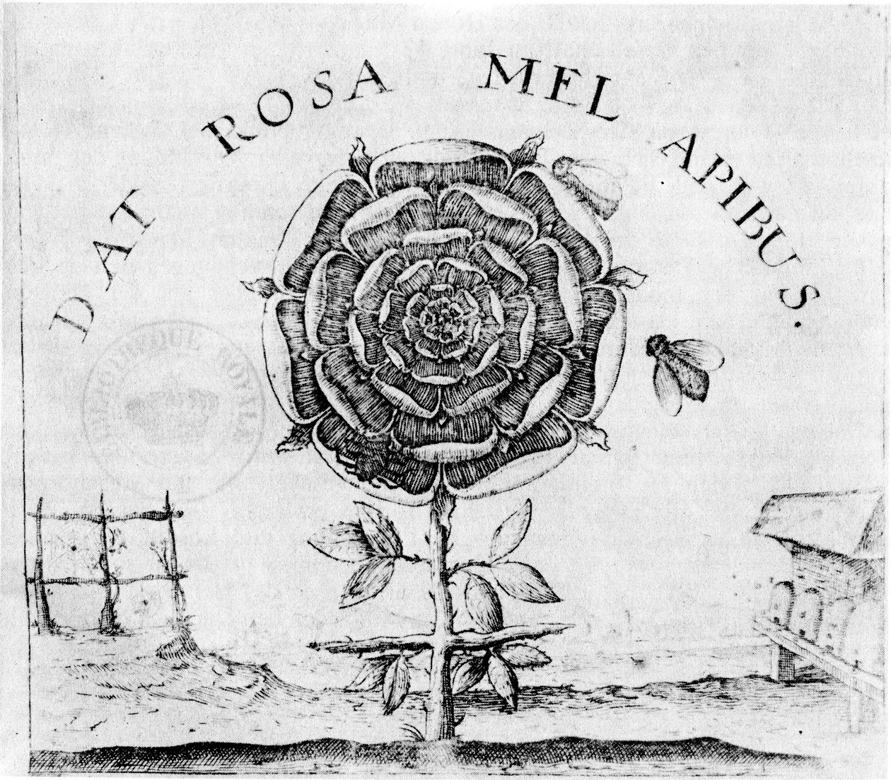 a Supreme Good oldala alkotó: Robert Fludd