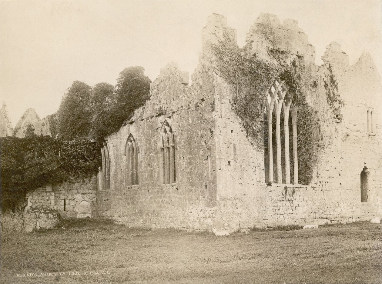 Askeaton Abbey (szépia fotó) alkotó: Robert French
