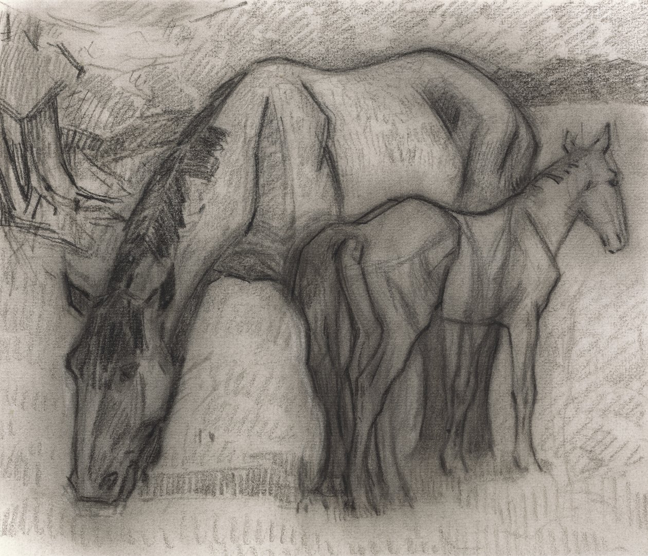 Tanulmány kanca és csikó számára, Lytchetts, Clayhidon, 1917 (fekete zsírkréta papíron) alkotó: Robert Polhill Bevan