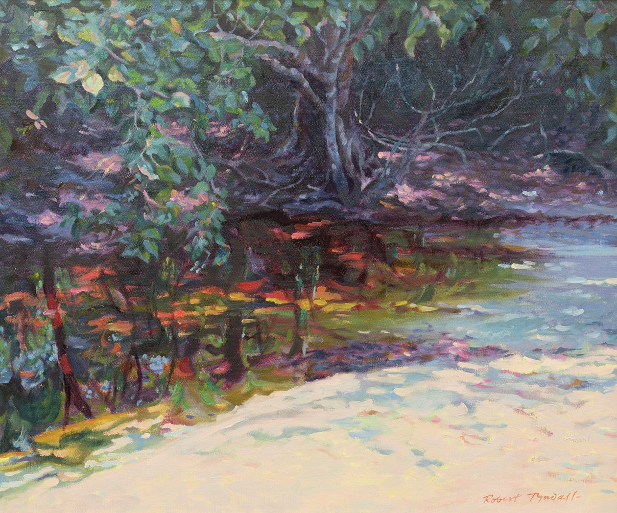 Tengerpart és esőerdő, Cape Tribulation, Northern Queensland, Ausztrália alkotó: Robert Tyndall