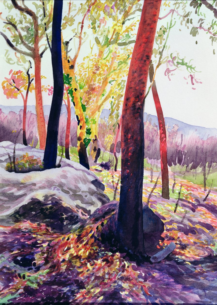 Bush Fire Survivors, Sydney, 1994 (wc) alkotó: Robert Tyndall