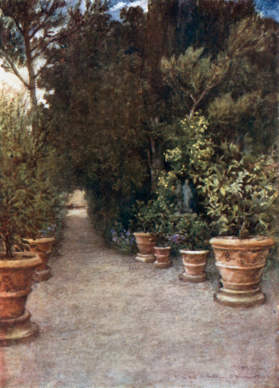 Az Ilex séta, Villa dell