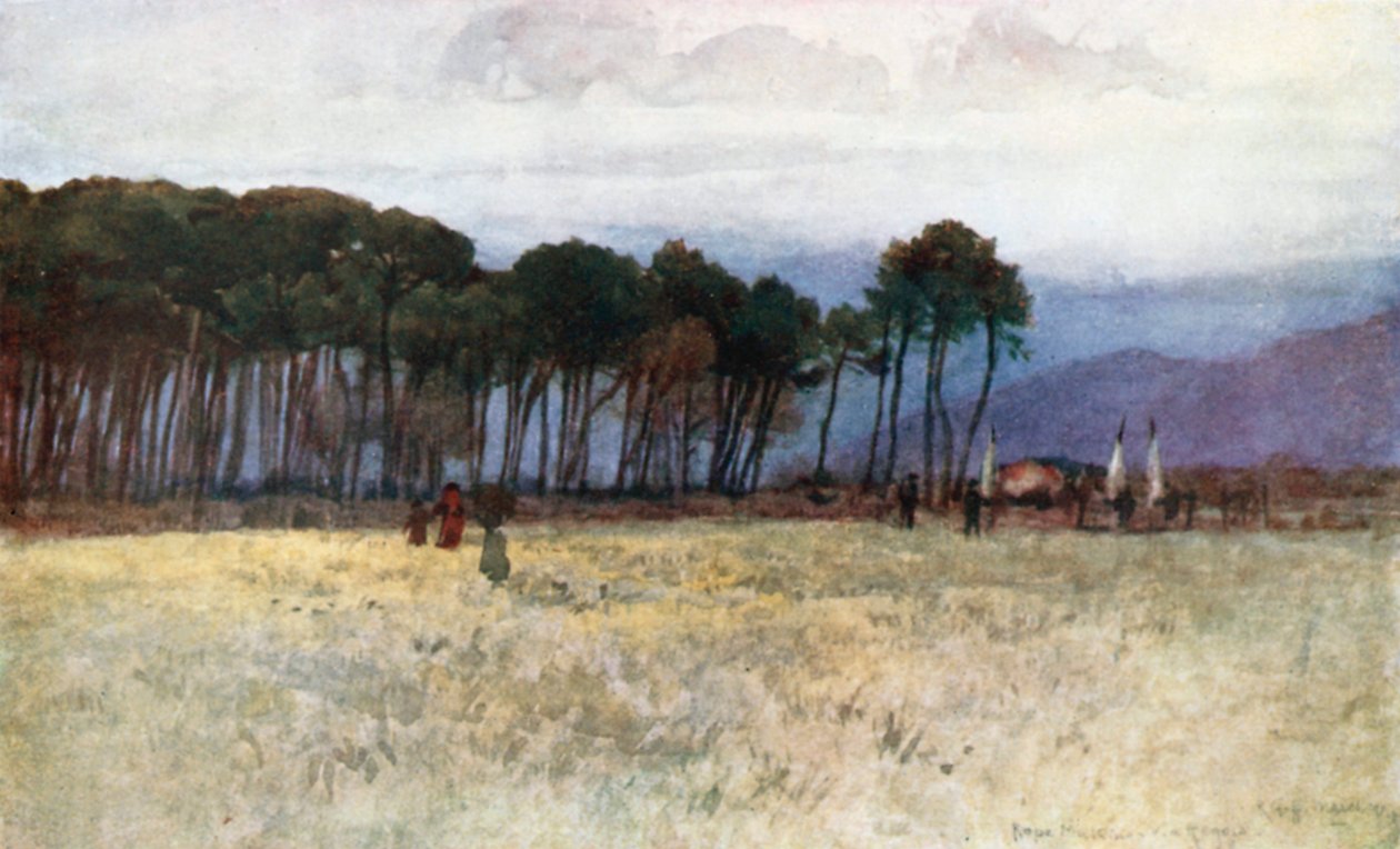 A fenyőerdő és a carrarai hegyek Viareggióban (színes litográfia) alkotó: Robert Charles Goff