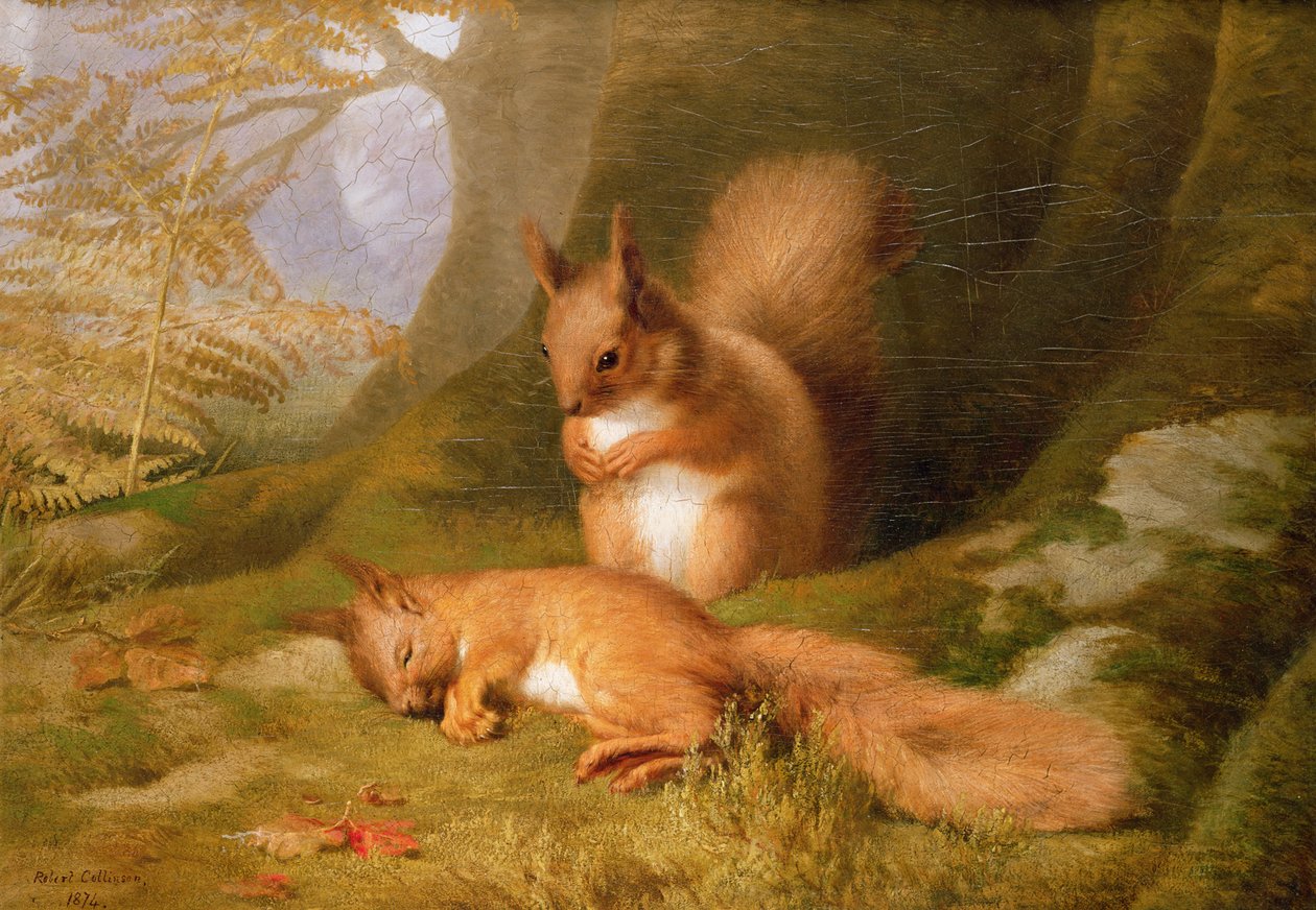 Mókusok az erdőben, 1874 alkotó: Robert Collinson