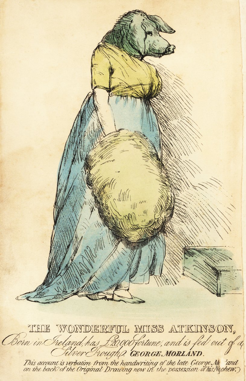 A disznóarcú hölgy, Londonban 1815 körül híressé vált. alkotó: Robert Cooper