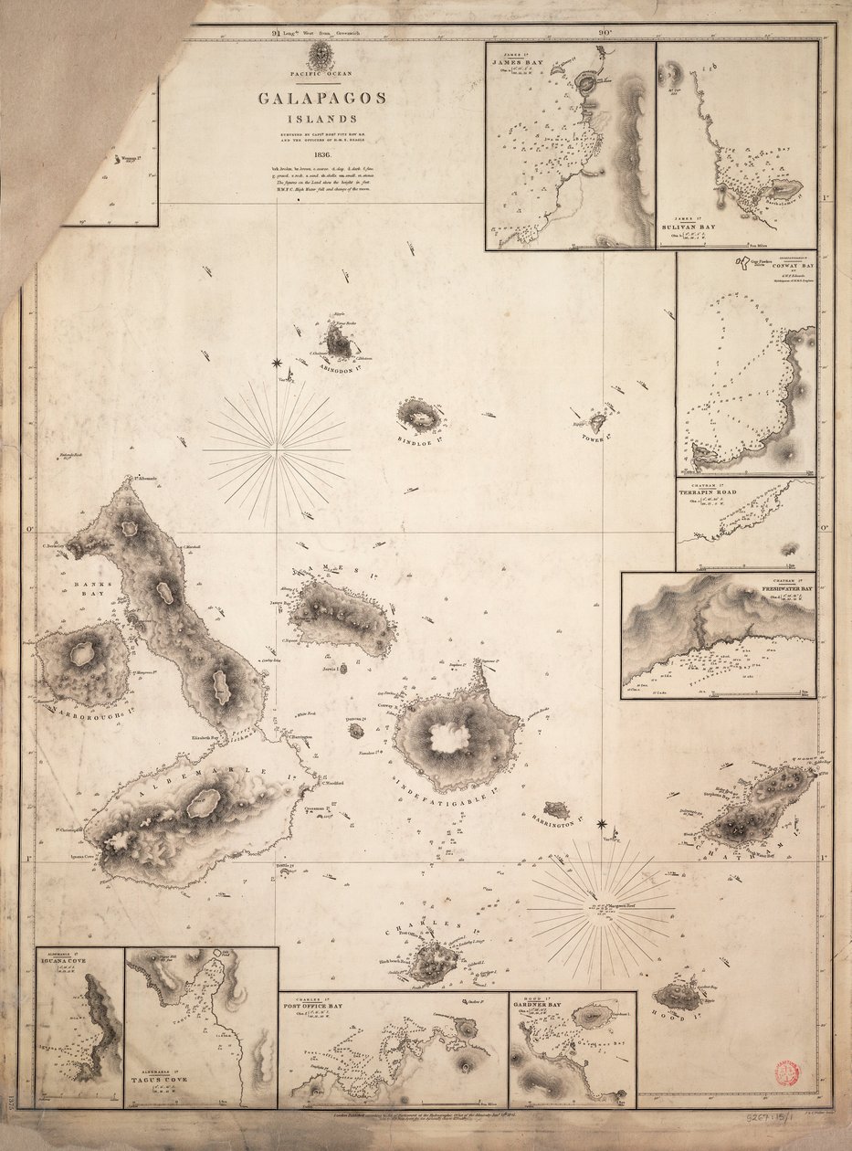 A Galápagos-szigetek térképe, amelyet a HMS "Beagle" hajóútja során mértek fel. alkotó: Robert Fitzroy