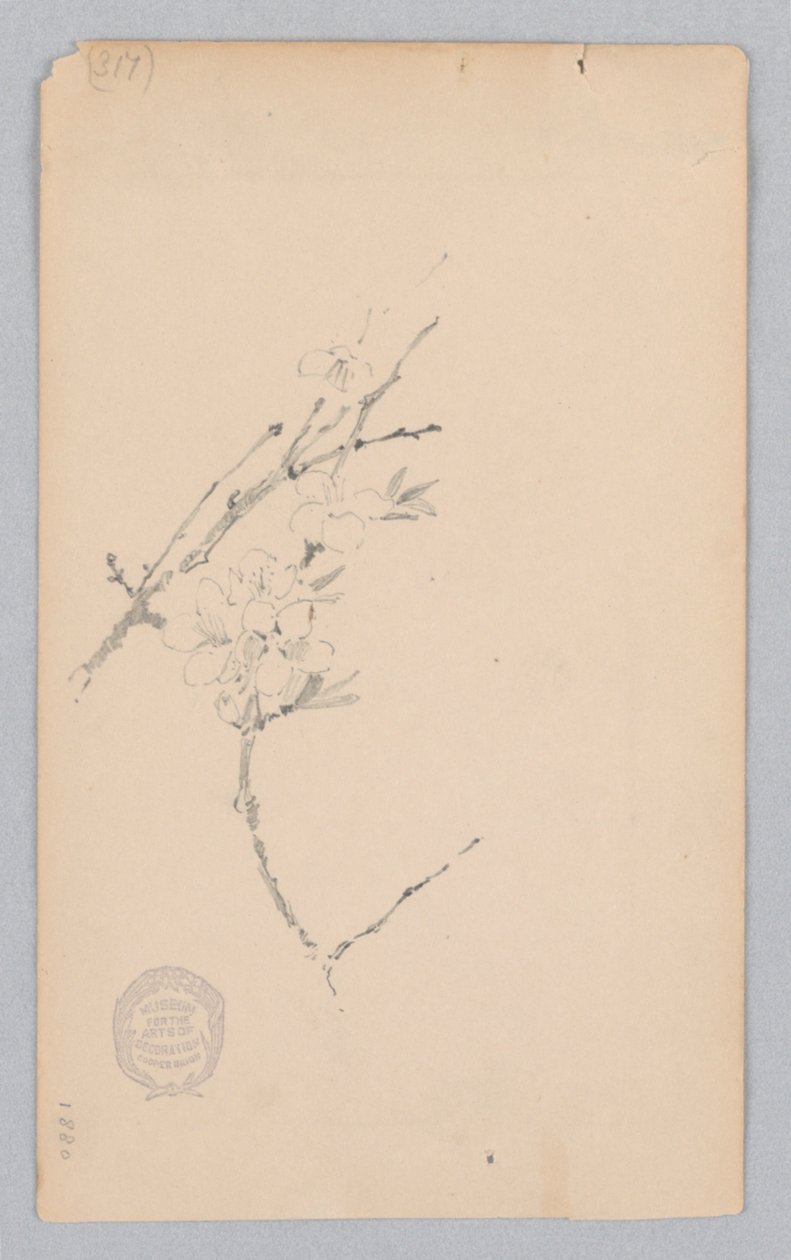 Faág alkotó: Robert Frederick Blum