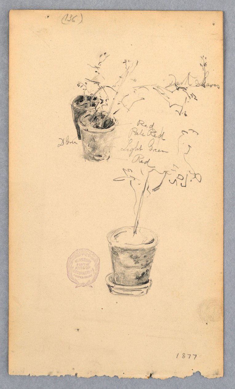 Rajz, Virágcserepek, 1877 alkotó: Robert Frederick Blum