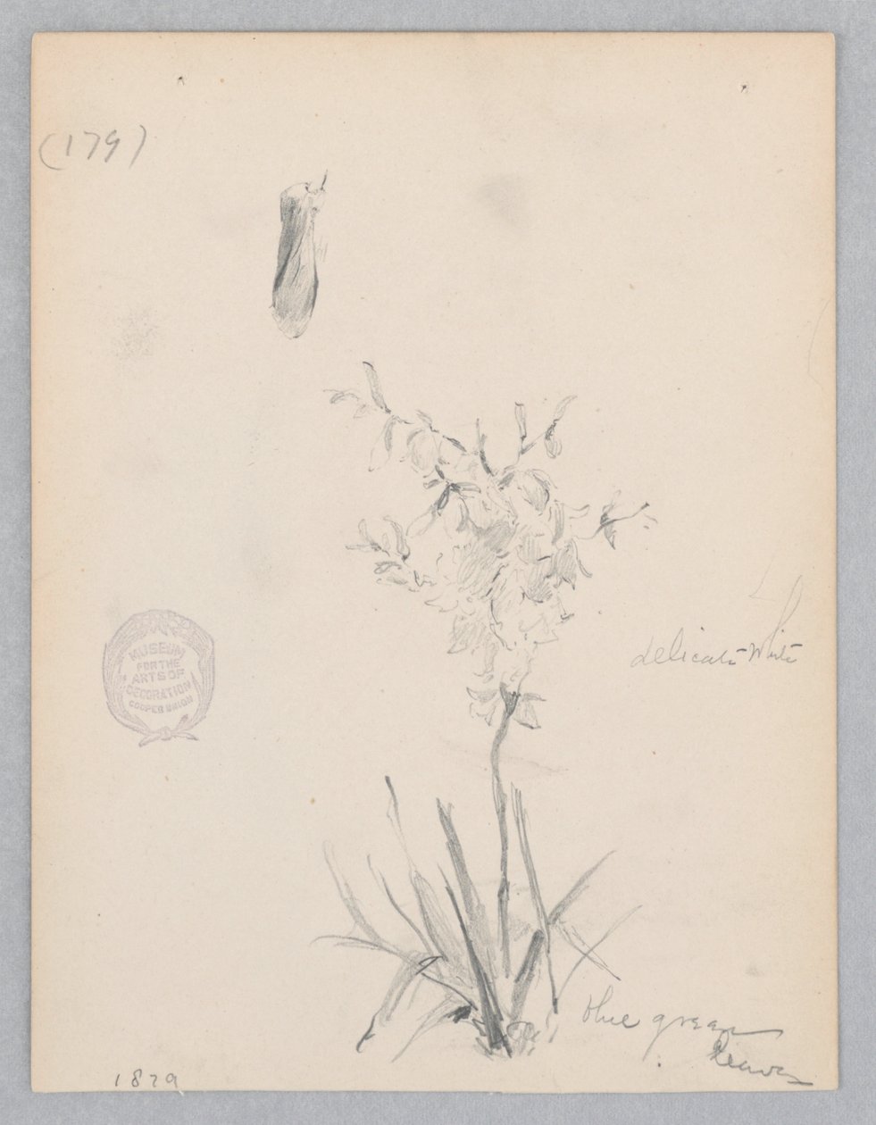 Virágzó növény alkotó: Robert Frederick Blum