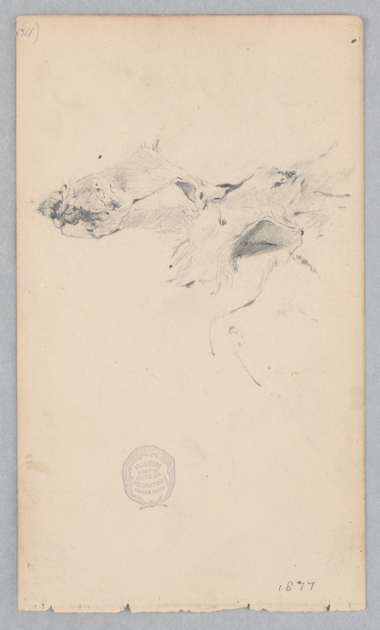 Tigrisbőr szőnyeg alkotó: Robert Frederick Blum