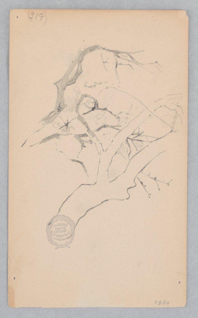 Faág alkotó: Robert Frederick Blum