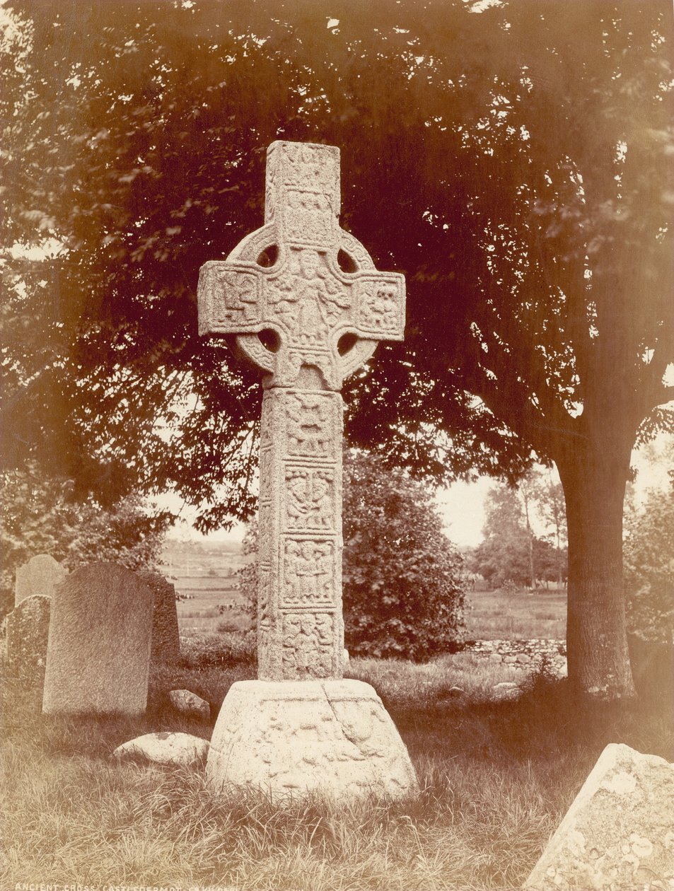 A déli magas kereszt Castledermotban, Co. Kildare, Írország (szepia fotó) alkotó: Robert French