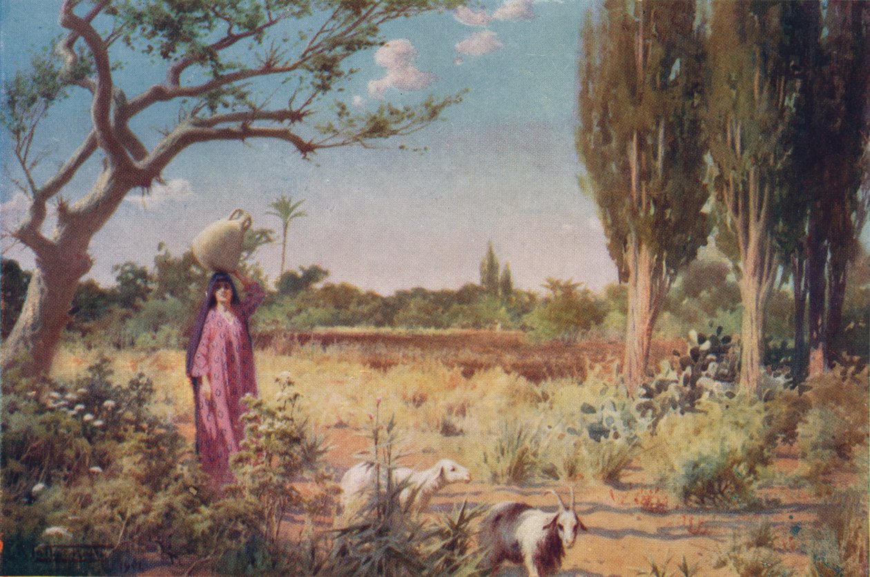 Egy lelkipásztor Damietta közelében, 1880, 1904 alkotó: Robert George Talbot Kelly