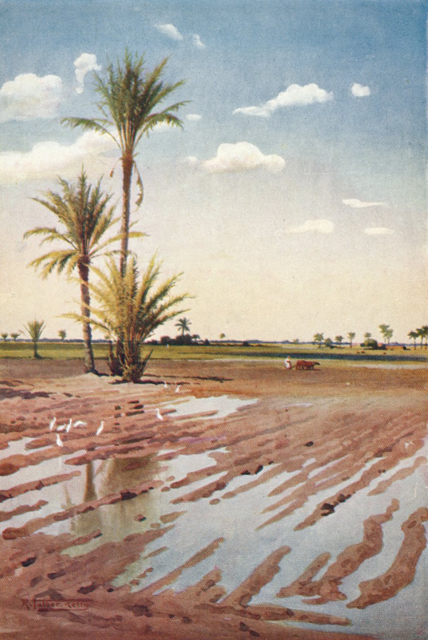 Öntözött mező, 1880, 1904 alkotó: Robert George Talbot Kelly