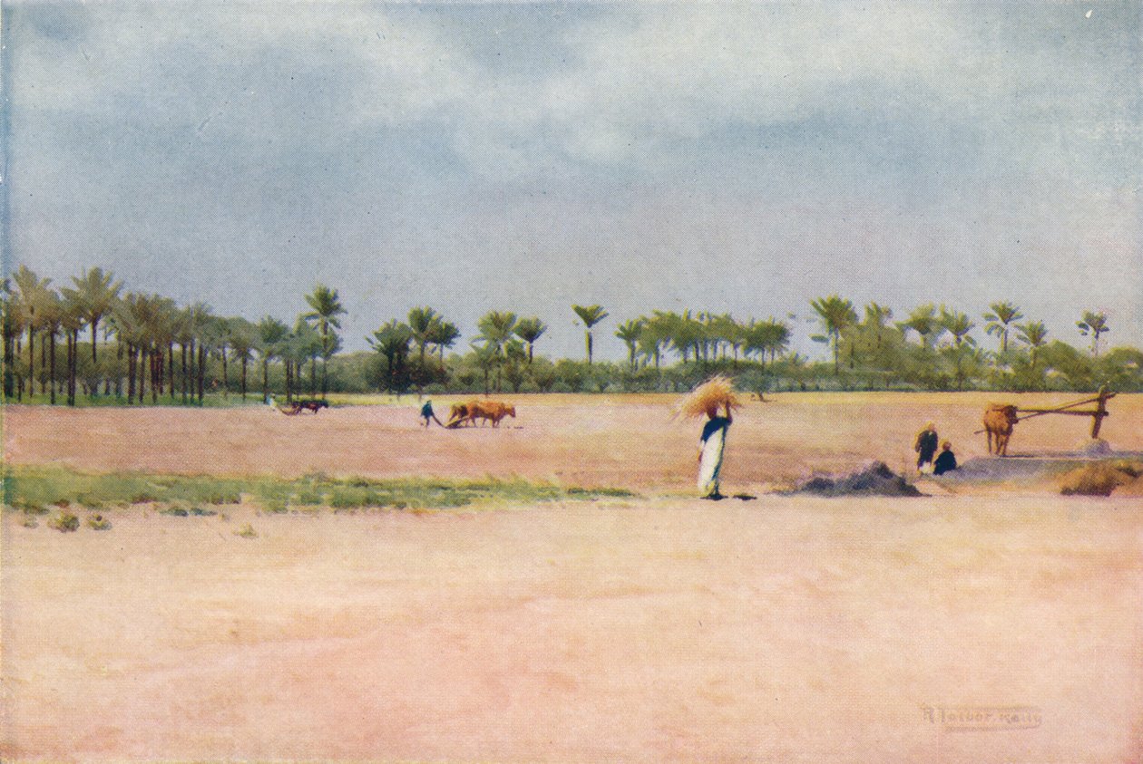 Esbet-El-Ekiad – Gosen földje, 1880, 1904 alkotó: Robert George Talbot Kelly