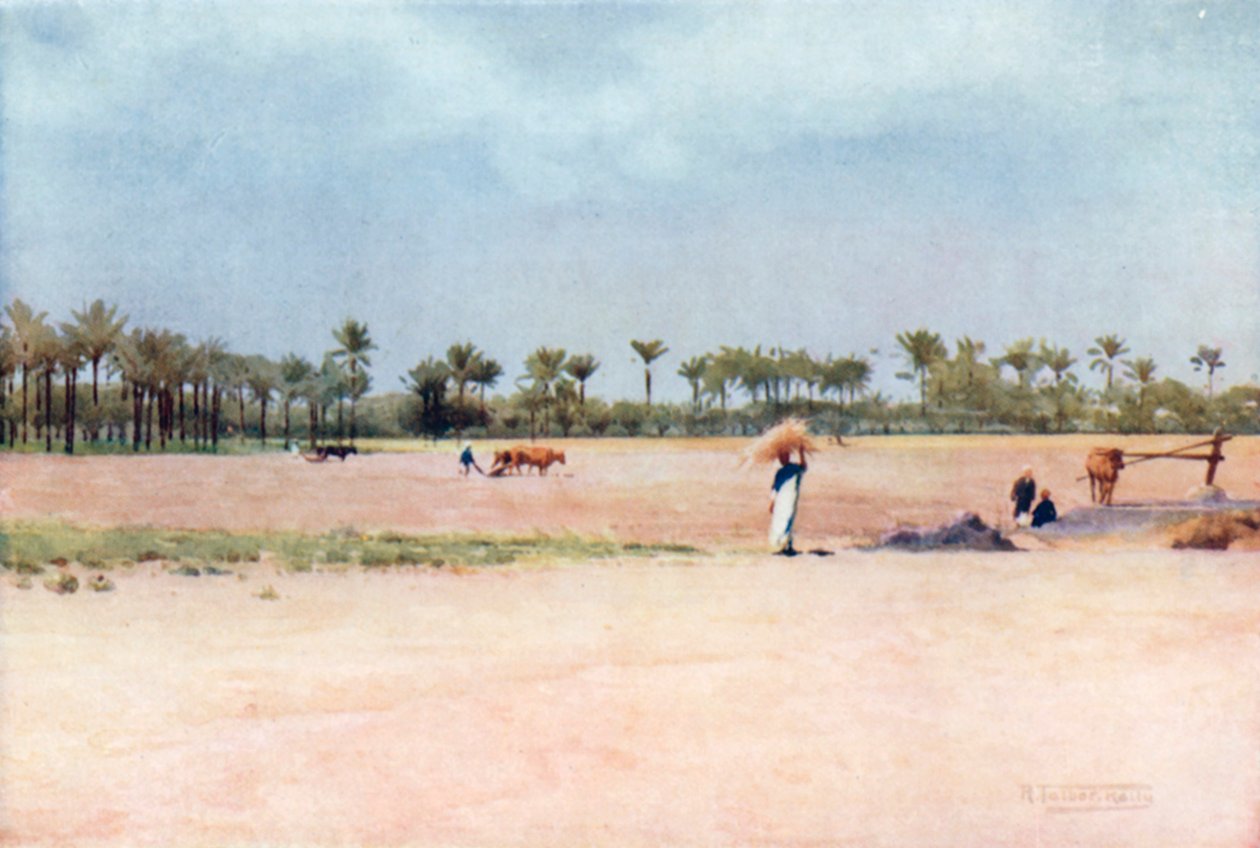  alkotó: Robert George Talbot Kelly