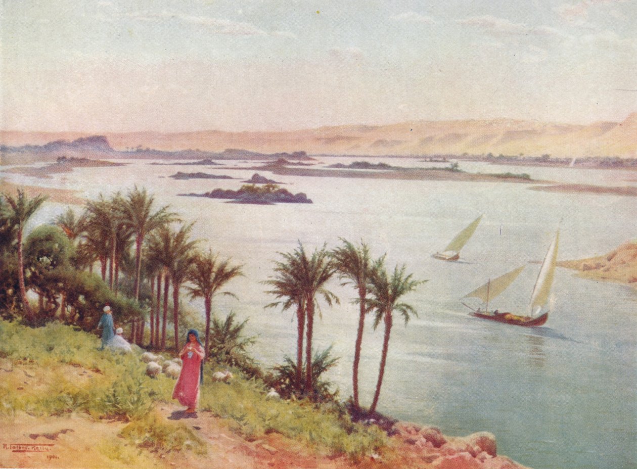 Első szürkehályog az Elephantine-szigetről, 1880, 1904 alkotó: Robert George Talbot Kelly