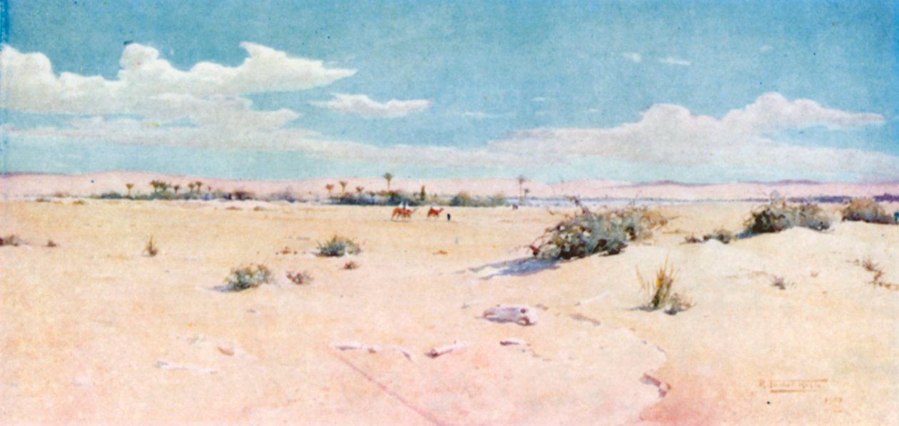 Tel-el-Kebir (színes litográfia) alkotó: Robert George Talbot Kelly