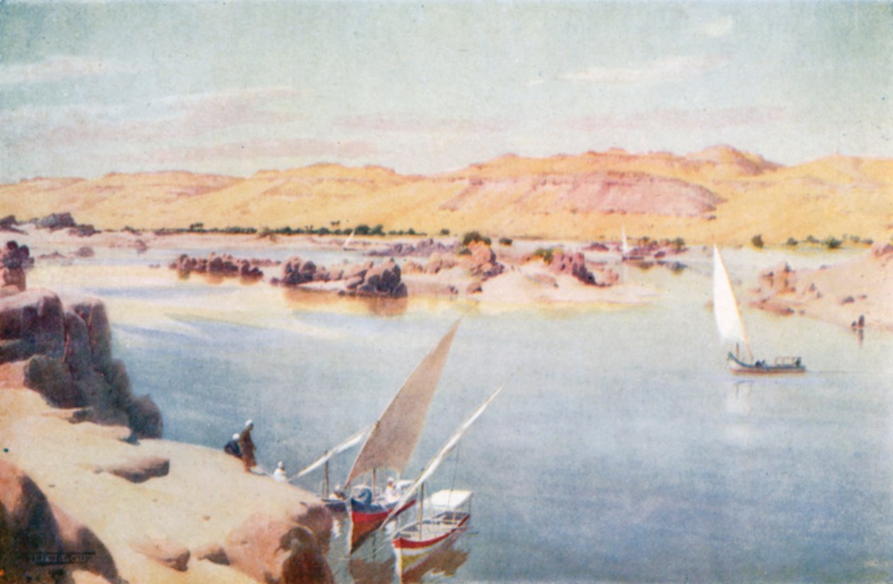 Az első szürkehályog (színes litográfia) alkotó: Robert George Talbot Kelly