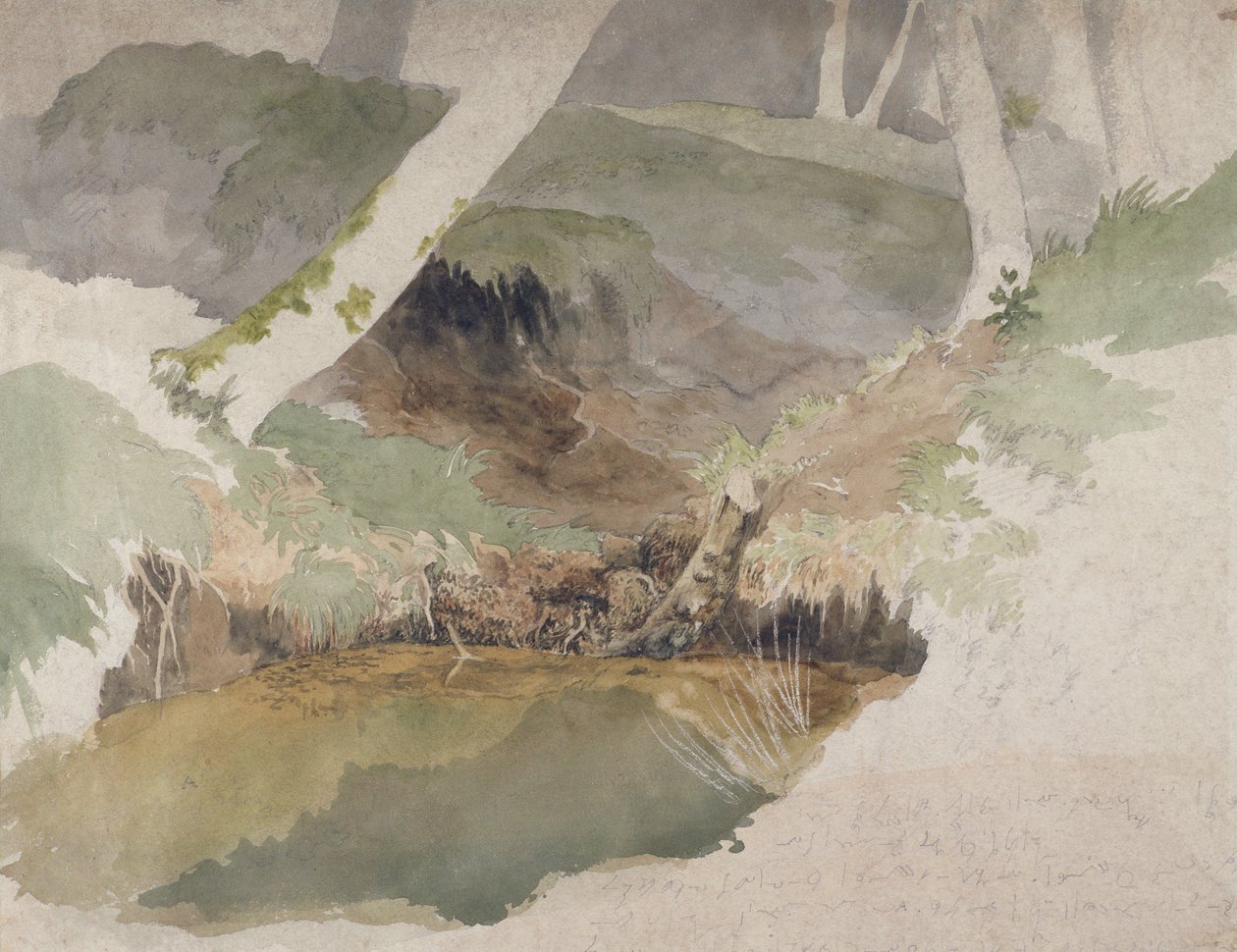 Forest Pool (wc grafit felett, papíron) alkotó: Robert Hills