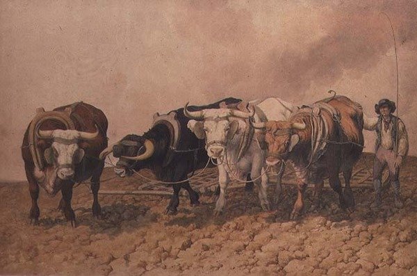 Szívszaggató alkotó: Robert Hills