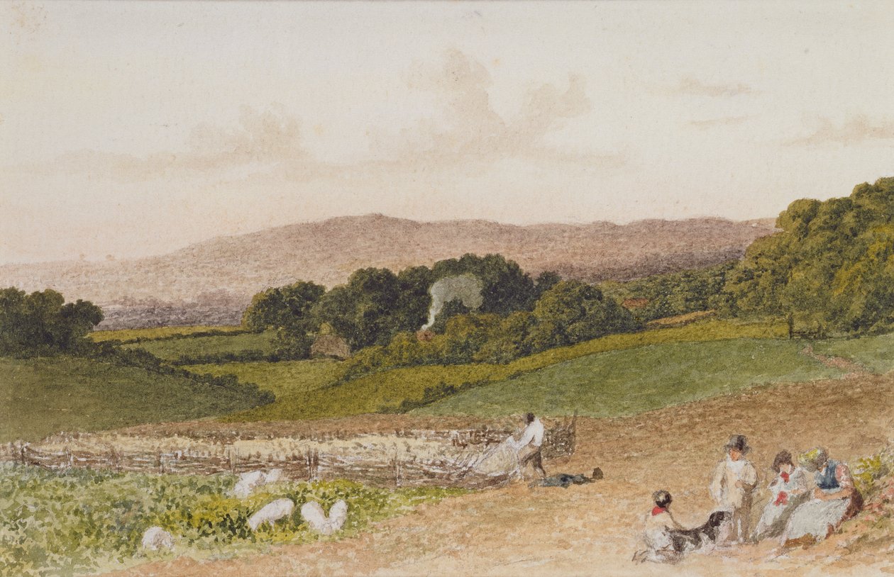 A fehérrépa mező alkotó: Robert Hills