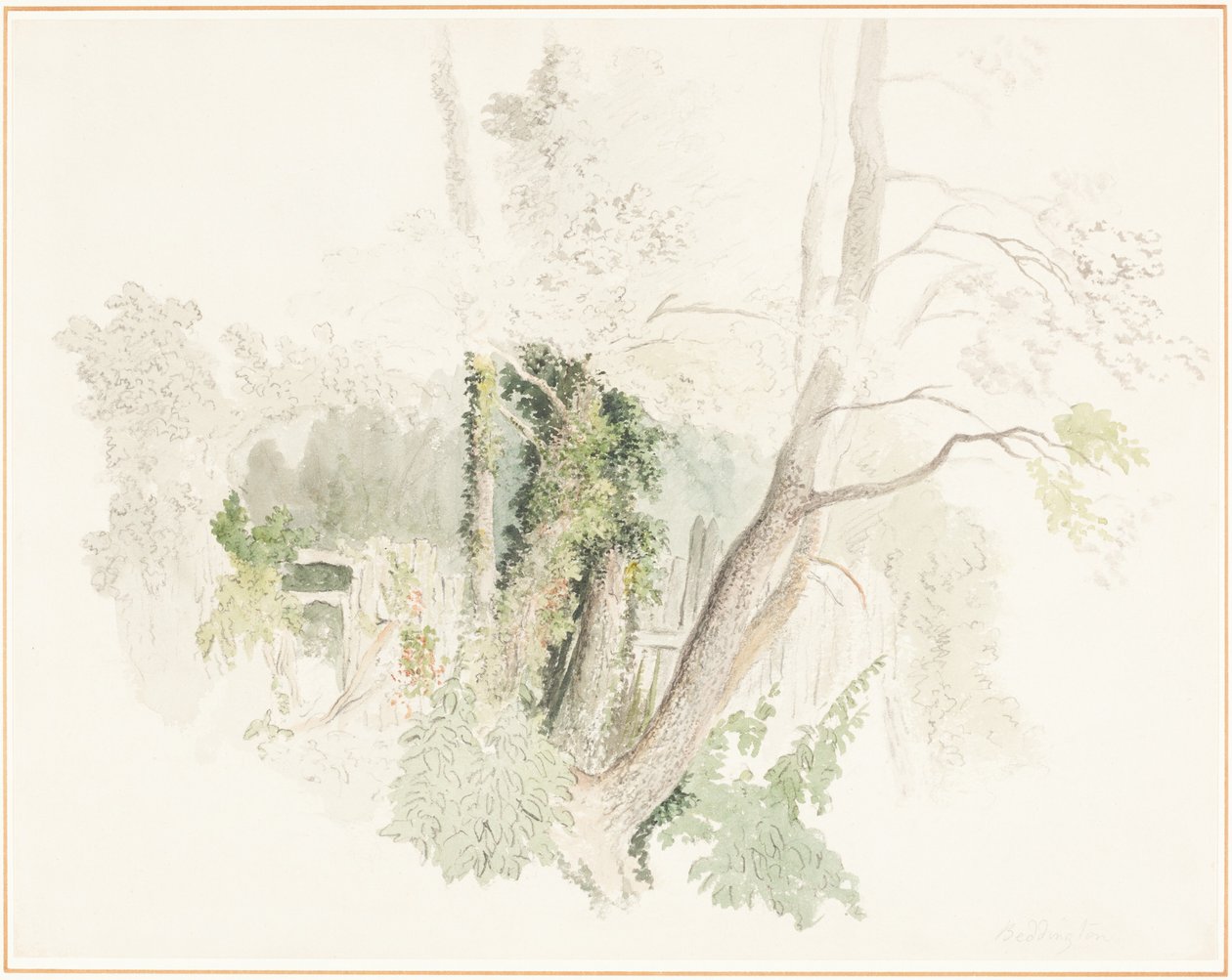 Fák Beddingtonban alkotó: Robert Hills