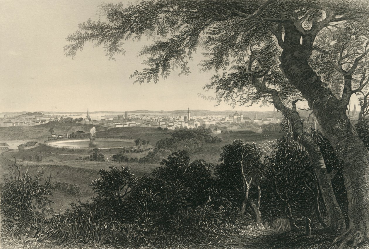 "Baltimore városa, a Druid Hill Parkból", 1874. alkotó: Robert Hinshelwood
