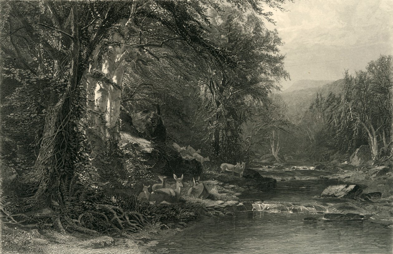 "The Adirondack Woods", 1874. alkotó: Robert Hinshelwood