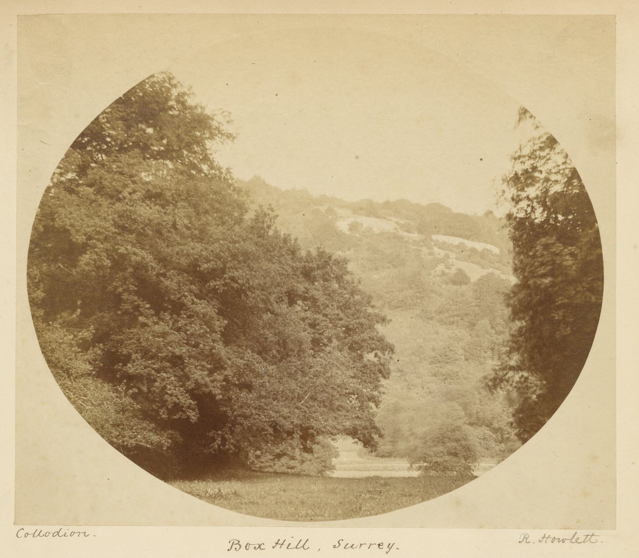 Box Hill, Surrey alkotó: Robert Howlett