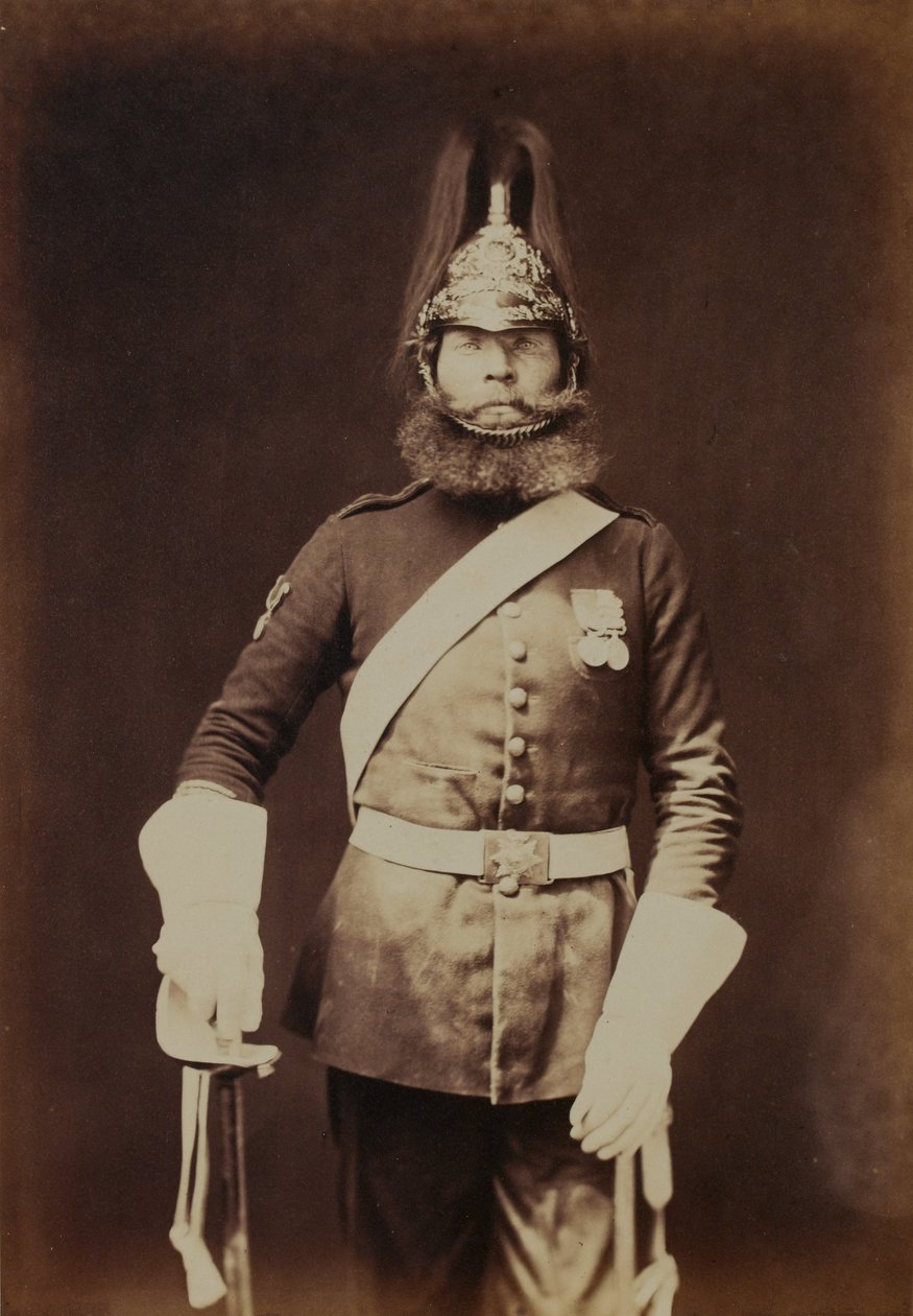 Rough-Rider Macnamara, 5. (Charlotte walesi hercegnő) Dragoon Guards alkotó: Robert Howlett
