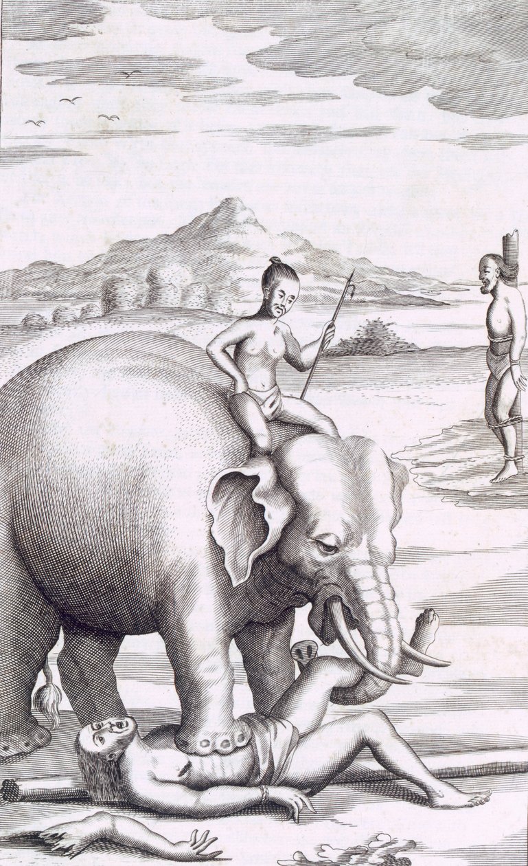 Egy elefánt kivégzése, kocsma. 1681. alkotó: Robert Knox