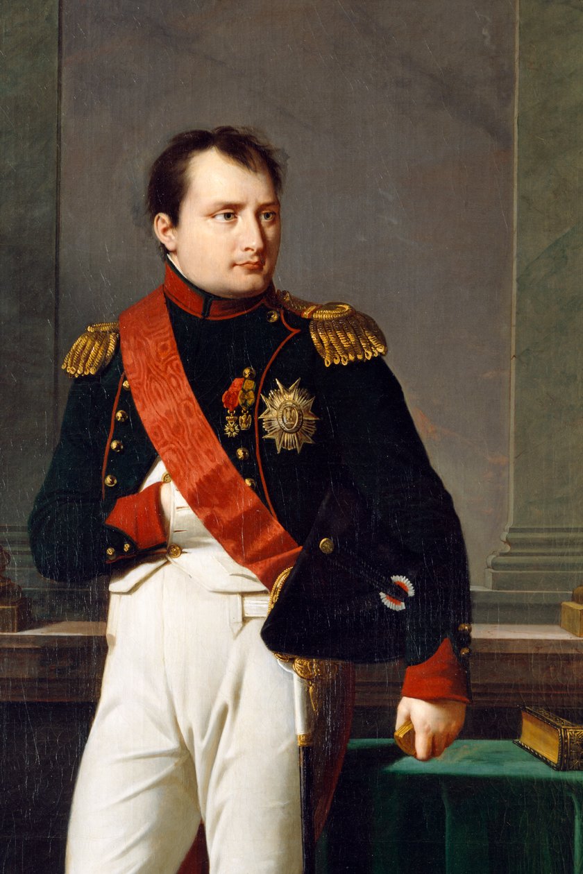 Részlet Bonaparte Napóleon portréjáról, 1812 alkotó: Robert Lefevre