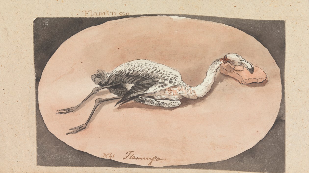 Flamingó alkotó: Robert Mabon