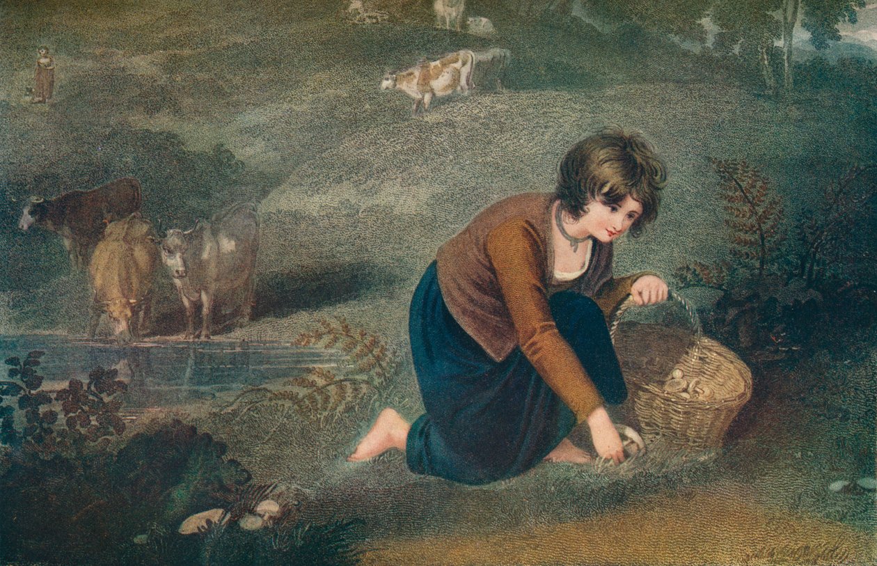 Egy lány gombát gyűjt, 1800, 1917 alkotó: Robert Mitchell Meadows