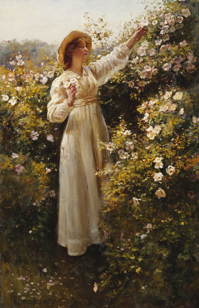 Vad Rózsa alkotó: Robert Payton Reid