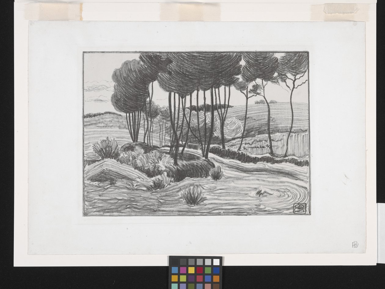 Nyárfák (litográfia) alkotó: Robert Polhill Bevan