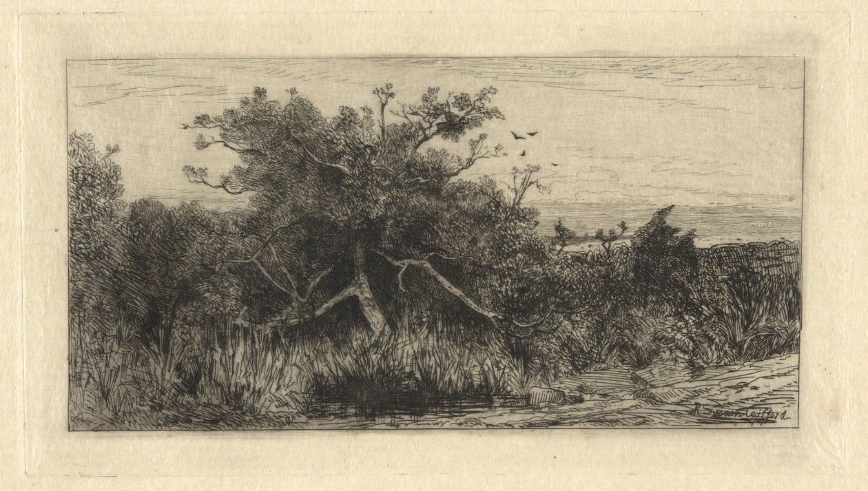 Göcsörtös fa alkotó: Robert Swain Gifford