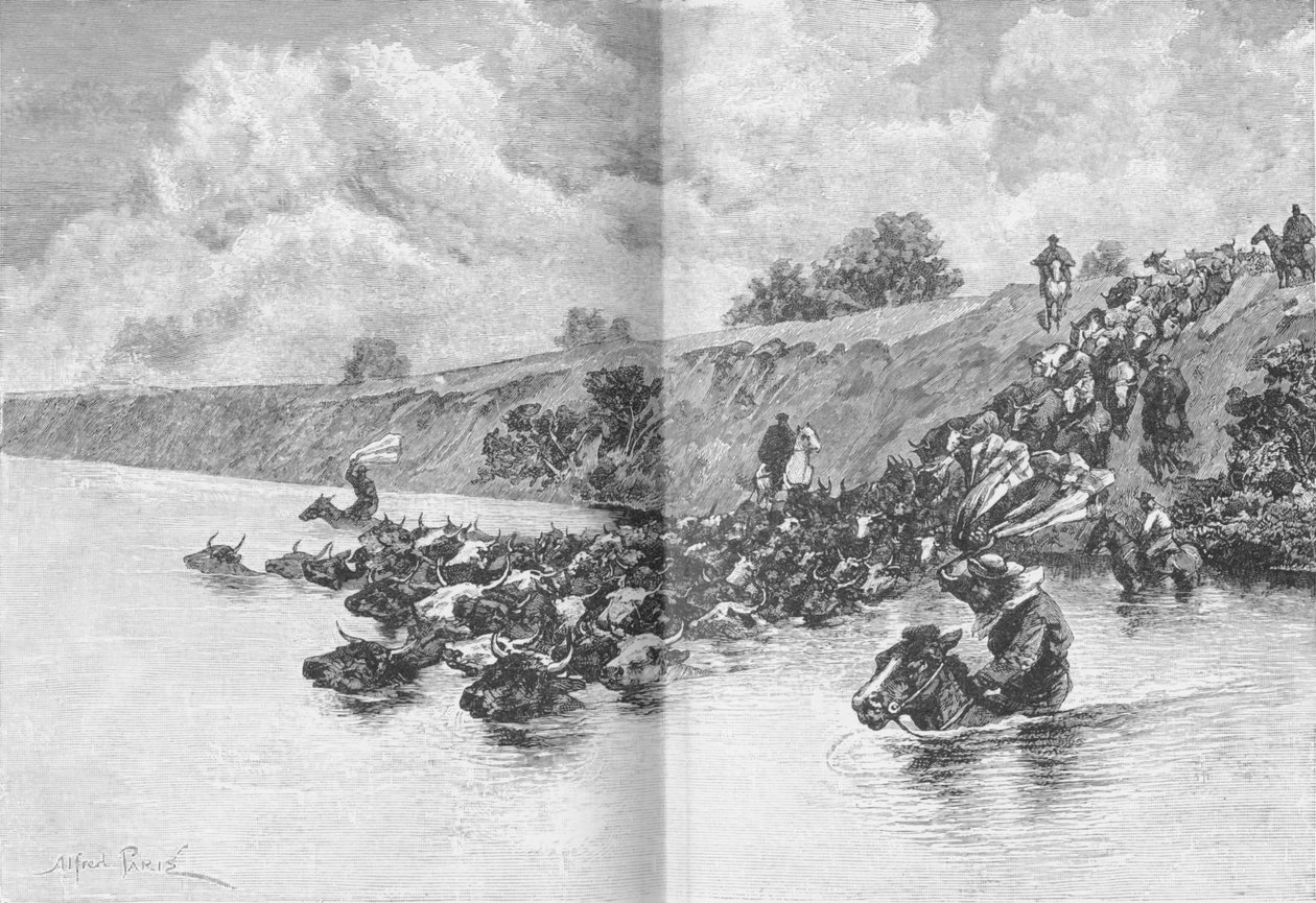 Szarvasmarhacsorda átkelő Uruguayon, 1885, 1890 alkotó: Robert Taylor Pritchett
