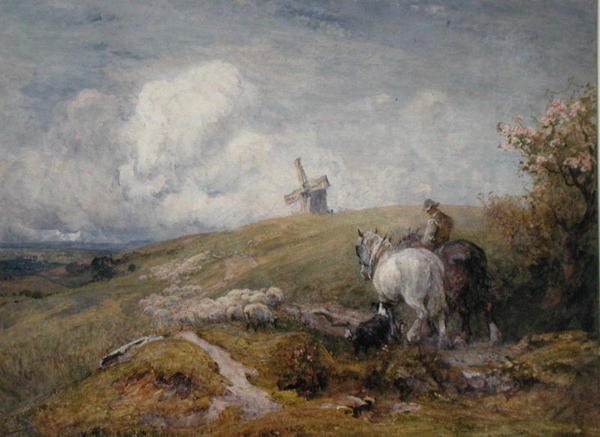 Juhhajtás a South Downs-on (akvarell, papír) alkotó: Robert Thorne Waite