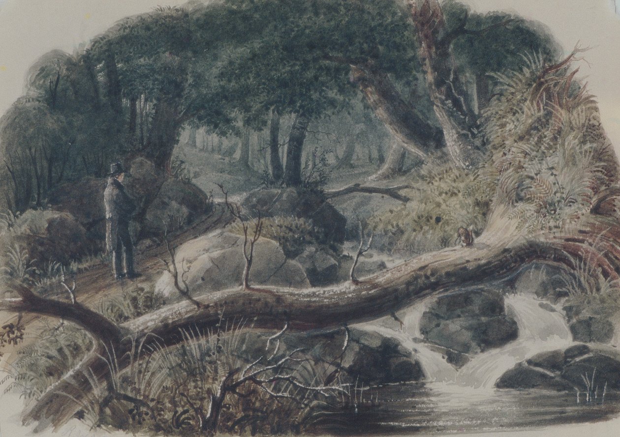 Egy erdő bejárata alkotó: Robert Walter Weir