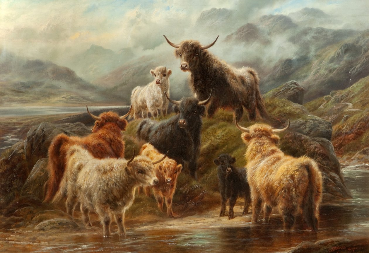 Felvidéki szarvasmarha, 1894 alkotó: Robert Watson