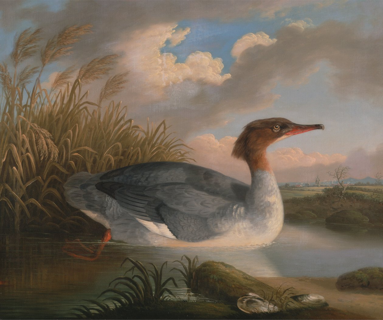 AD ENSZ búvár (goosander) alkotó: Robert Wilkinson Padley