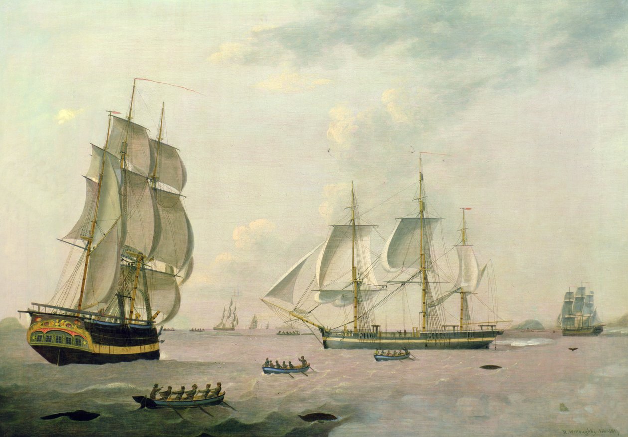 A bálnavadász "Ocran" alkotó: Robert Willoughby